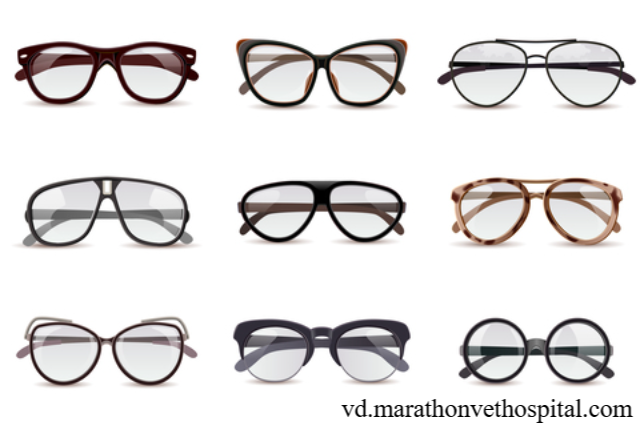 Jenis-Jenis Kacamata Terapi dan Fungsinya untuk Kesehatan Mata